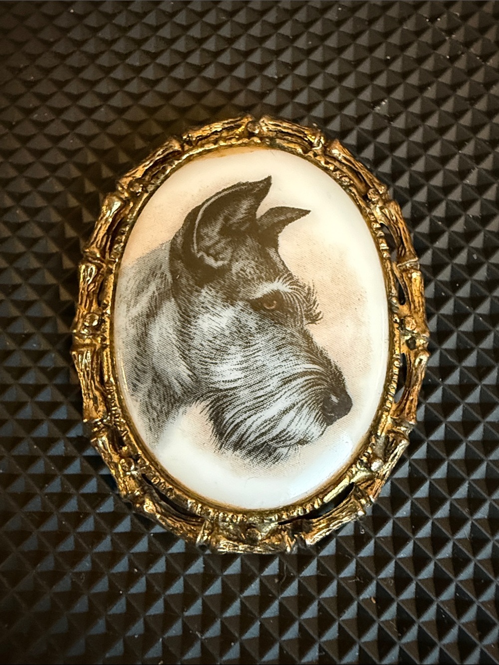 Gold Tone Framed Dog Portrait Wall Art Brooch - White & Gold